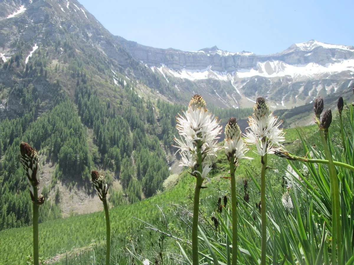 Honey Moon Apartment Saint-Bonnet-en-Champsaur